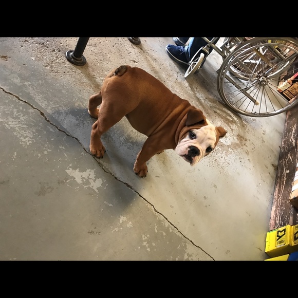 Meet your Posher, April - Picture 1 of 1